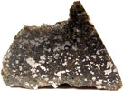 NWA 1879 (Mesosiderite) 1.20g Endcut